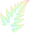 grown-fern